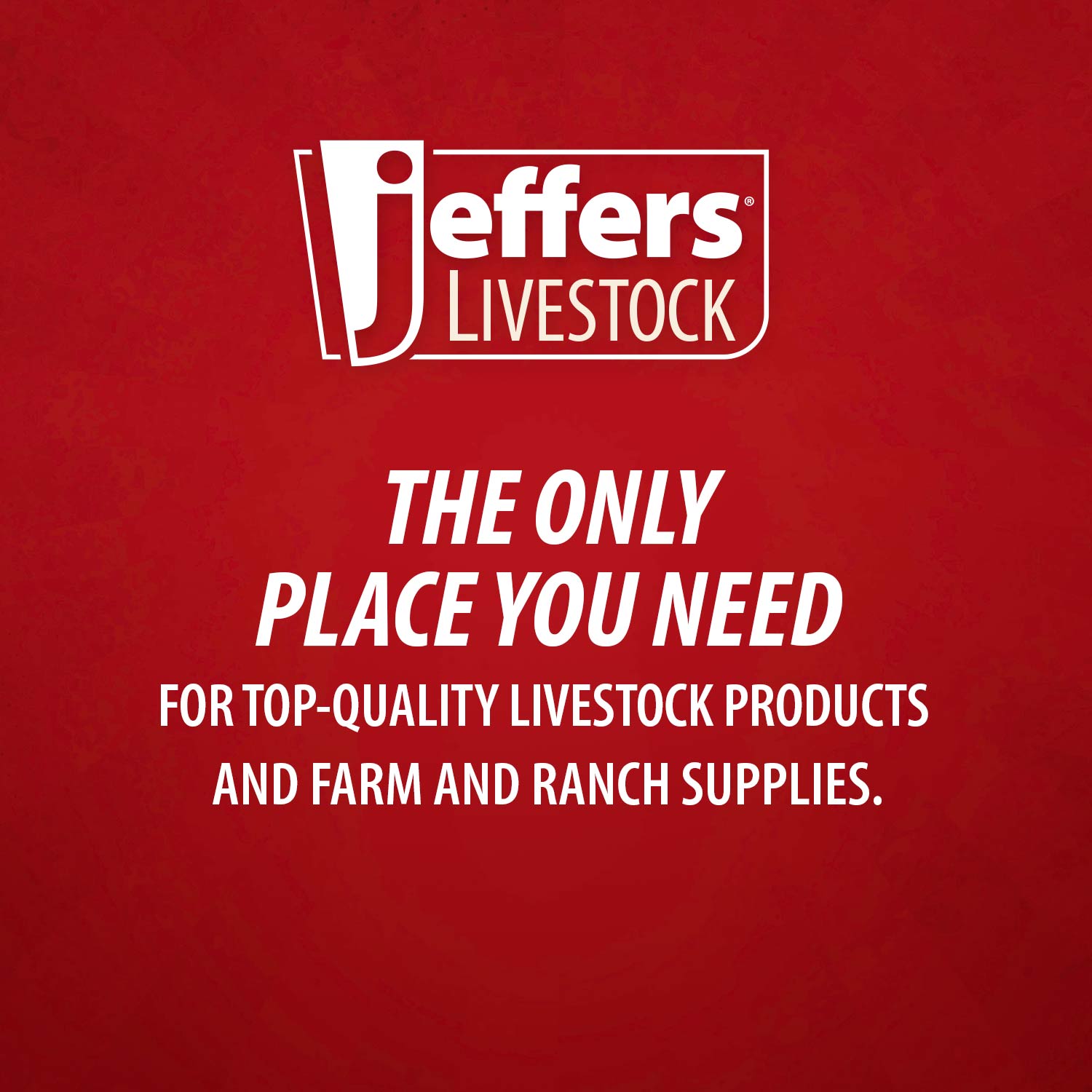 Insulated Jeffers Soft-Side Reusable Vaccine Cooler Bag for Temperature Protection