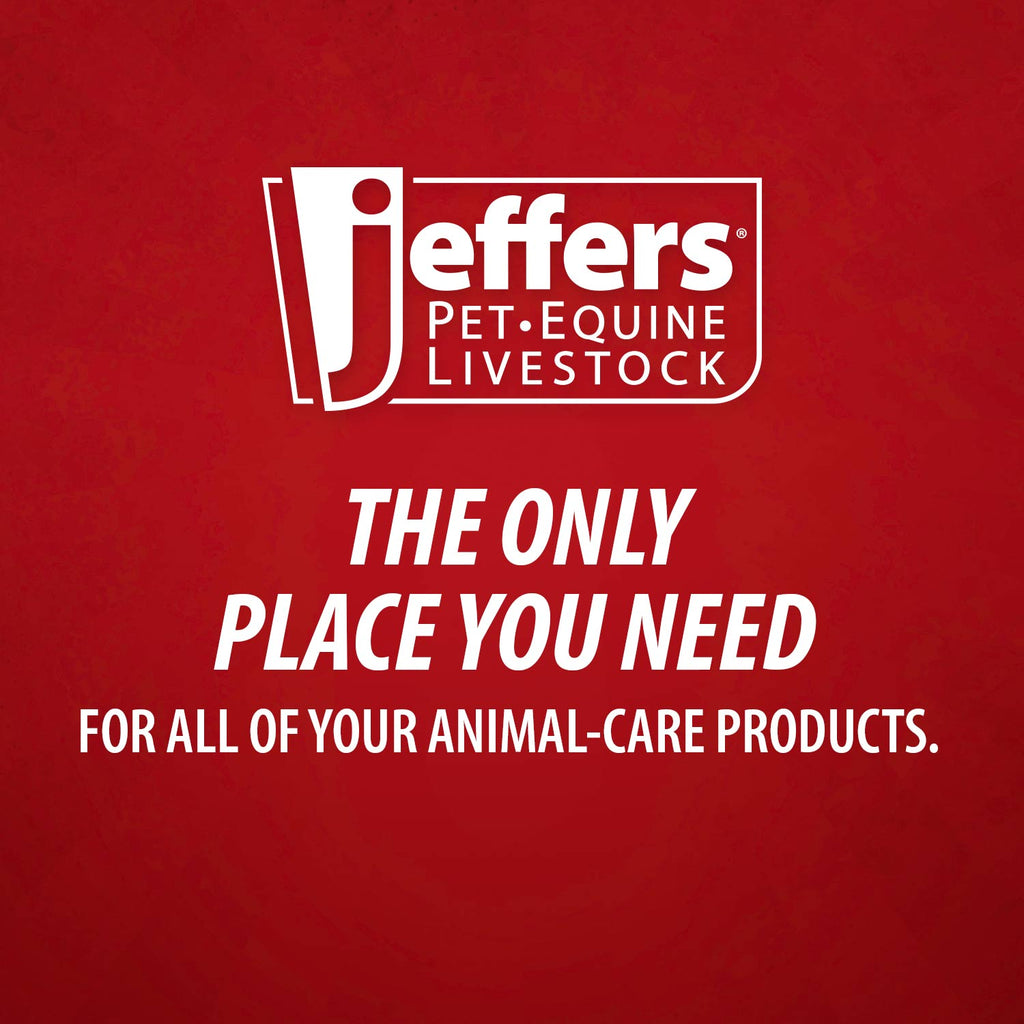 Jeffers Ultra Sharp Aluminum Hub Veterinary Needles Box of 100