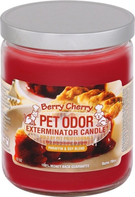 Pet Odor Exterminator 13oz Enzyme-Based Jar Candle Scented Deodorizer