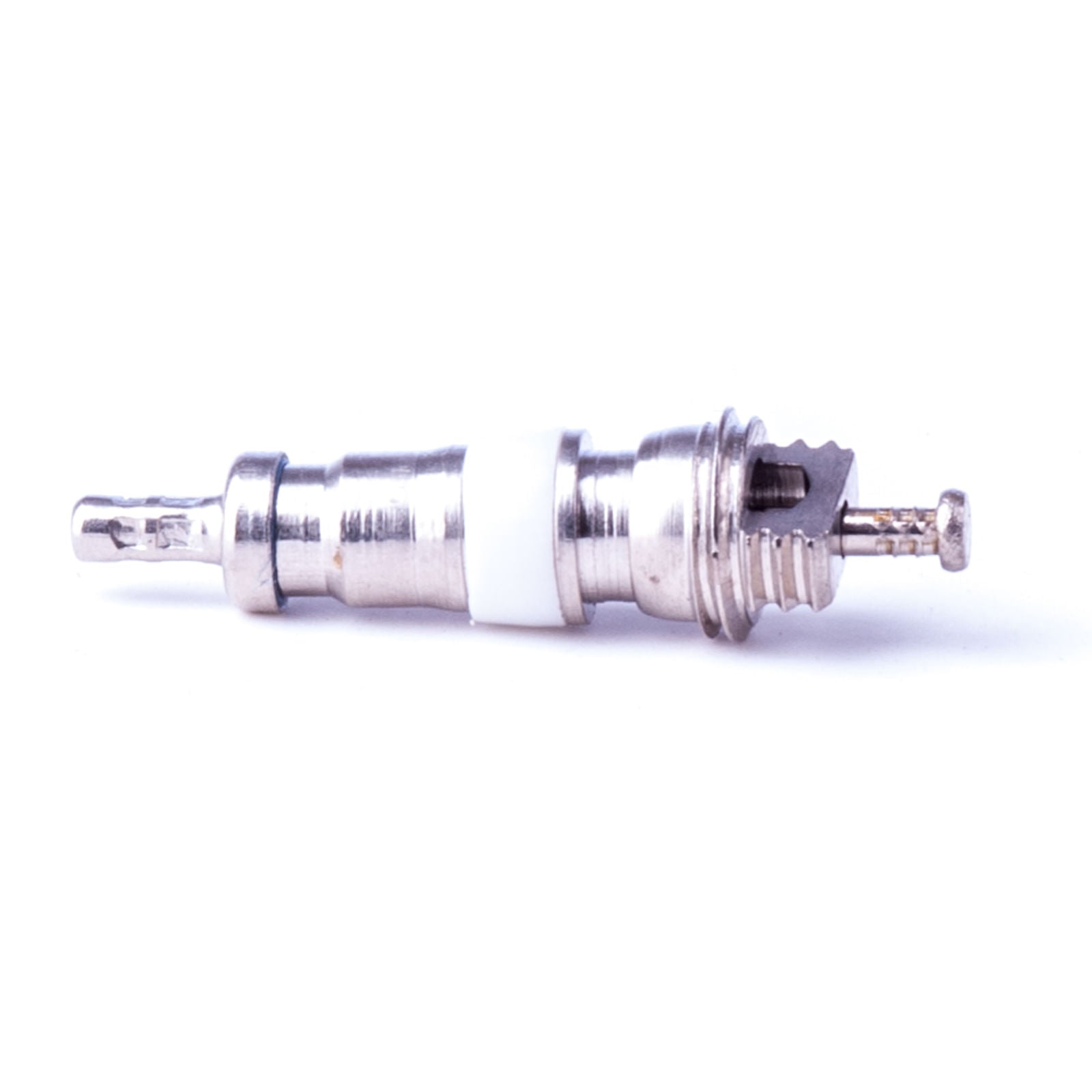 Little Giant Automatic Poultry and Game Bird Waterer Fountain