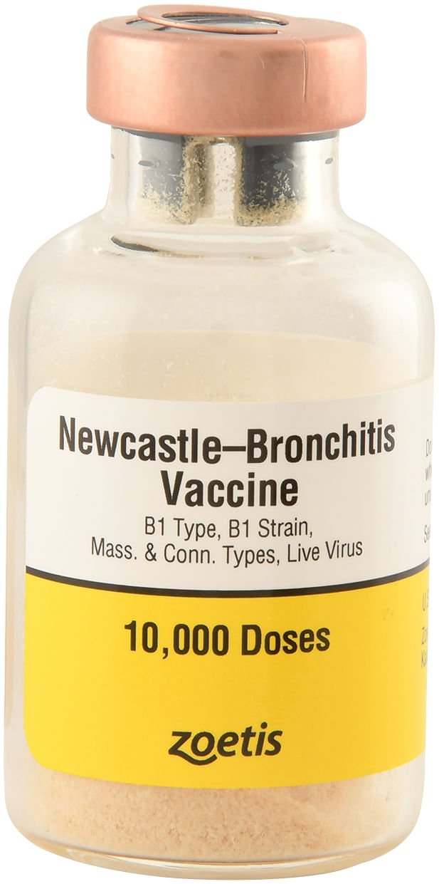 Zoetis Newcastle-Bronchitis Vaccine 10,000 Dose Poultry Drinking Water Protection