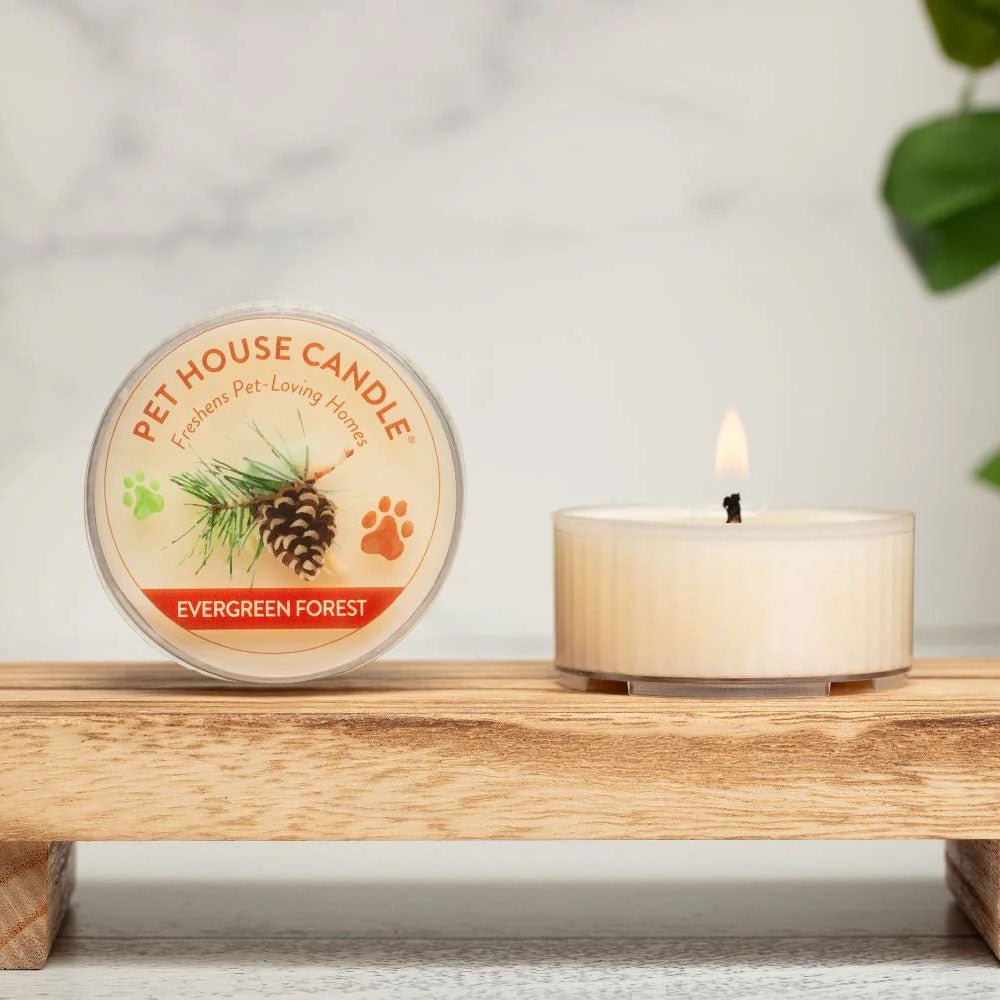 Pet House Mini Soy Wax Candle Pet Odor Eliminating Jar