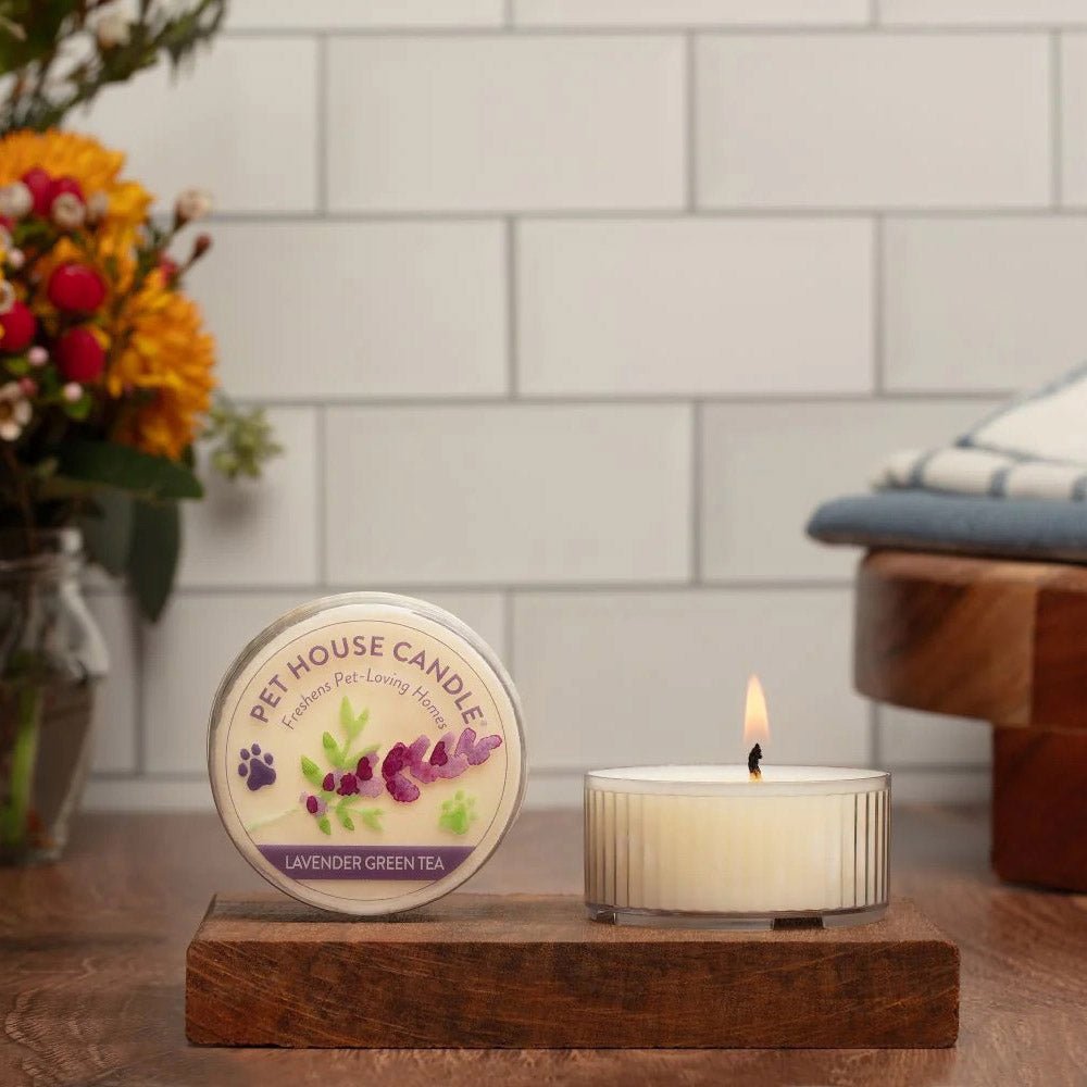 Pet House Mini Soy Wax Candle Pet Odor Eliminating Jar
