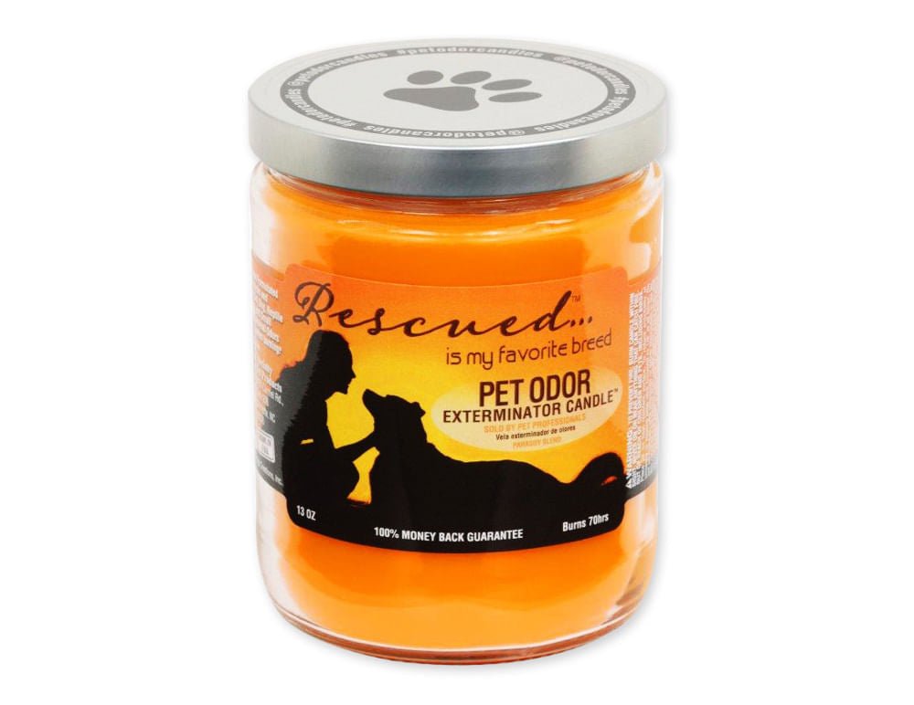 Pet Odor Exterminator 13oz Enzyme-Based Jar Candle Scented Deodorizer