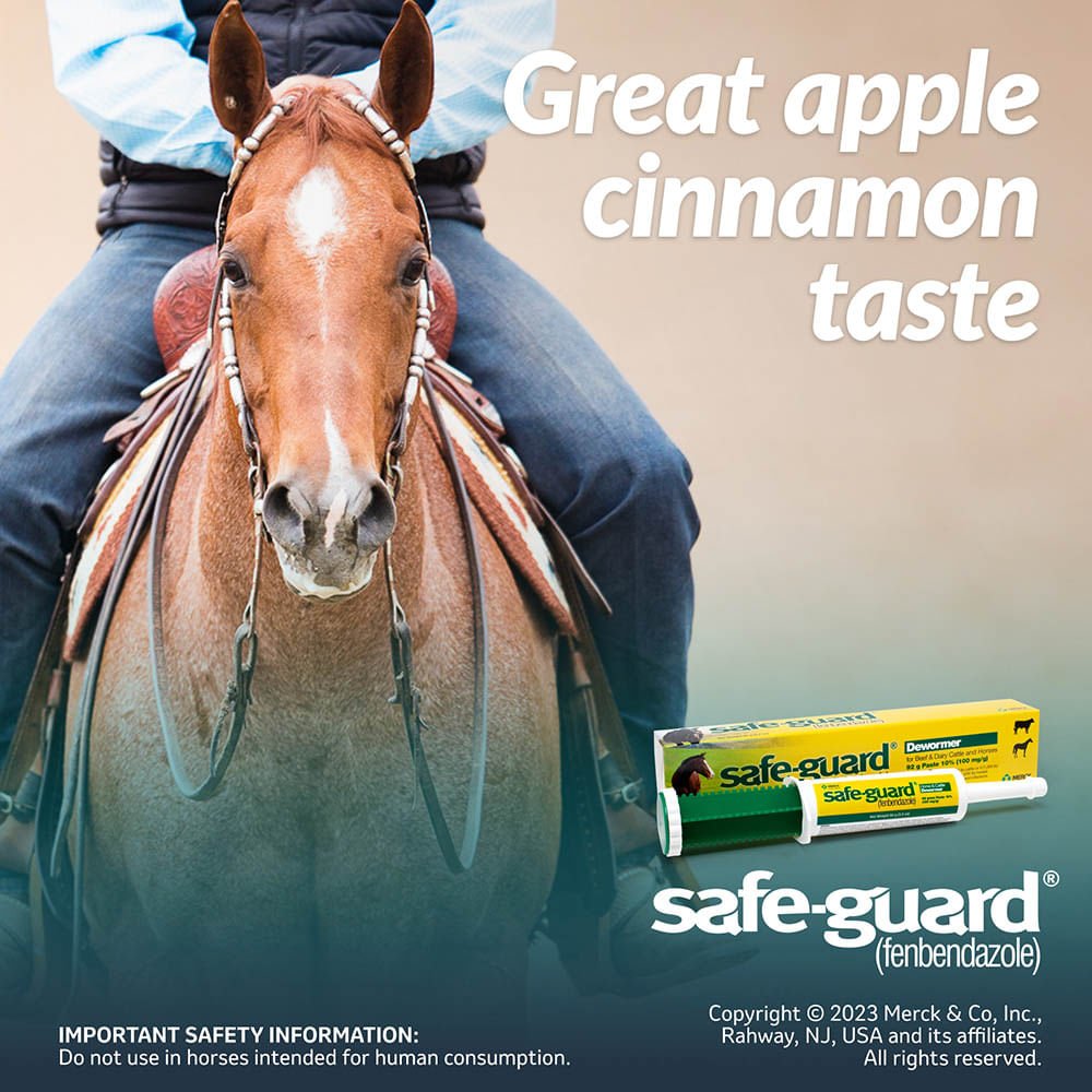 Safe-Guard Fenbendazole Horse and Cattle Dewormer Paste 92g Apple Flavor