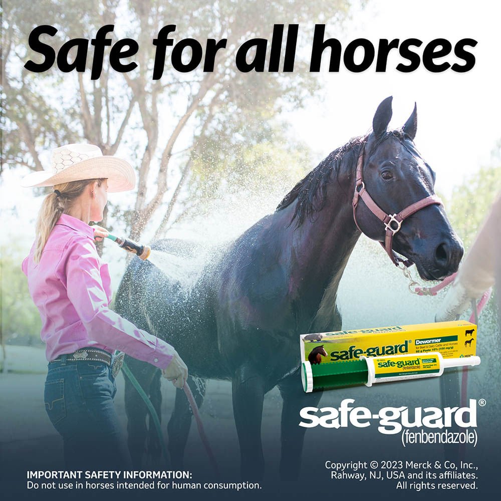 Safe-Guard Fenbendazole Horse and Cattle Dewormer Paste 92g Apple Flavor