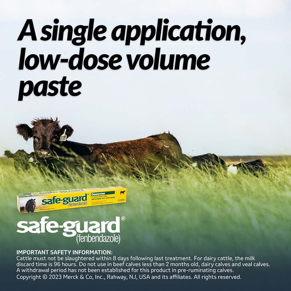Safe-Guard 10% Fenbendazole Beef and Dairy Cattle Dewormer Paste 290g