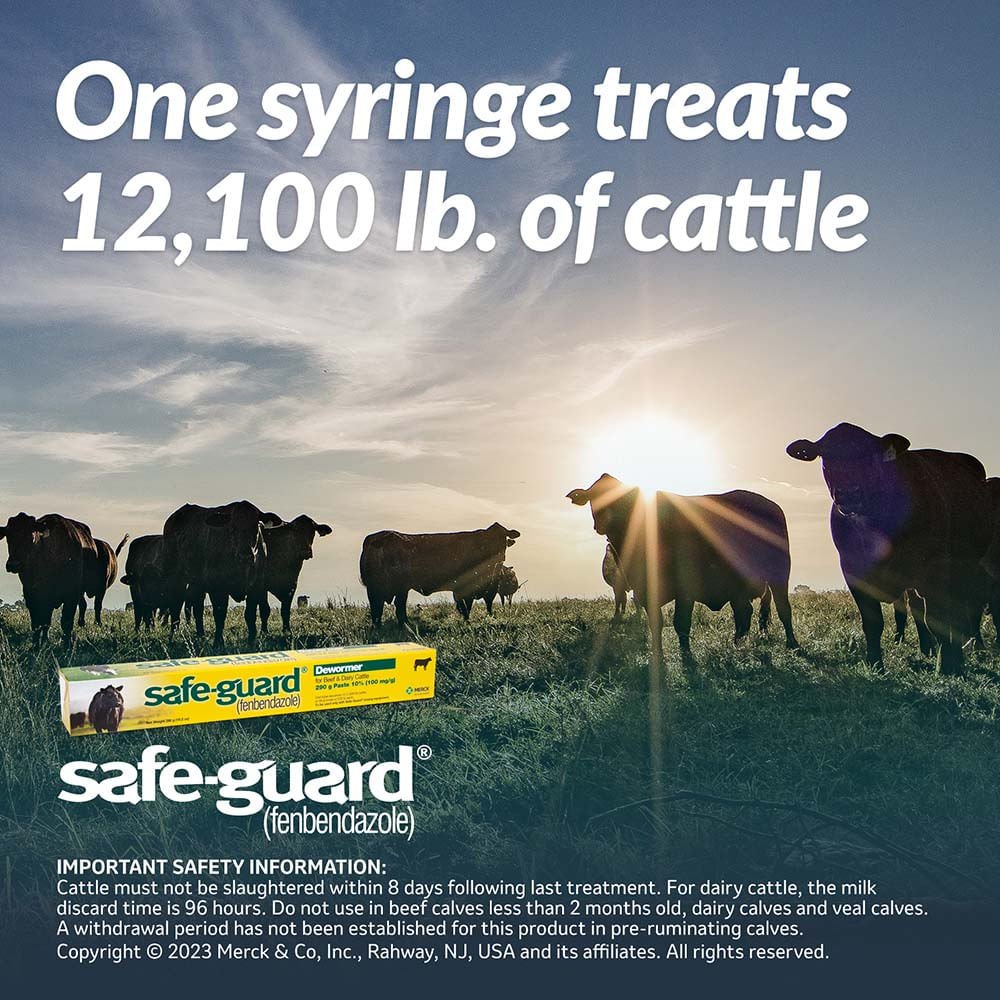 Safe-Guard 10% Fenbendazole Beef and Dairy Cattle Dewormer Paste 290g