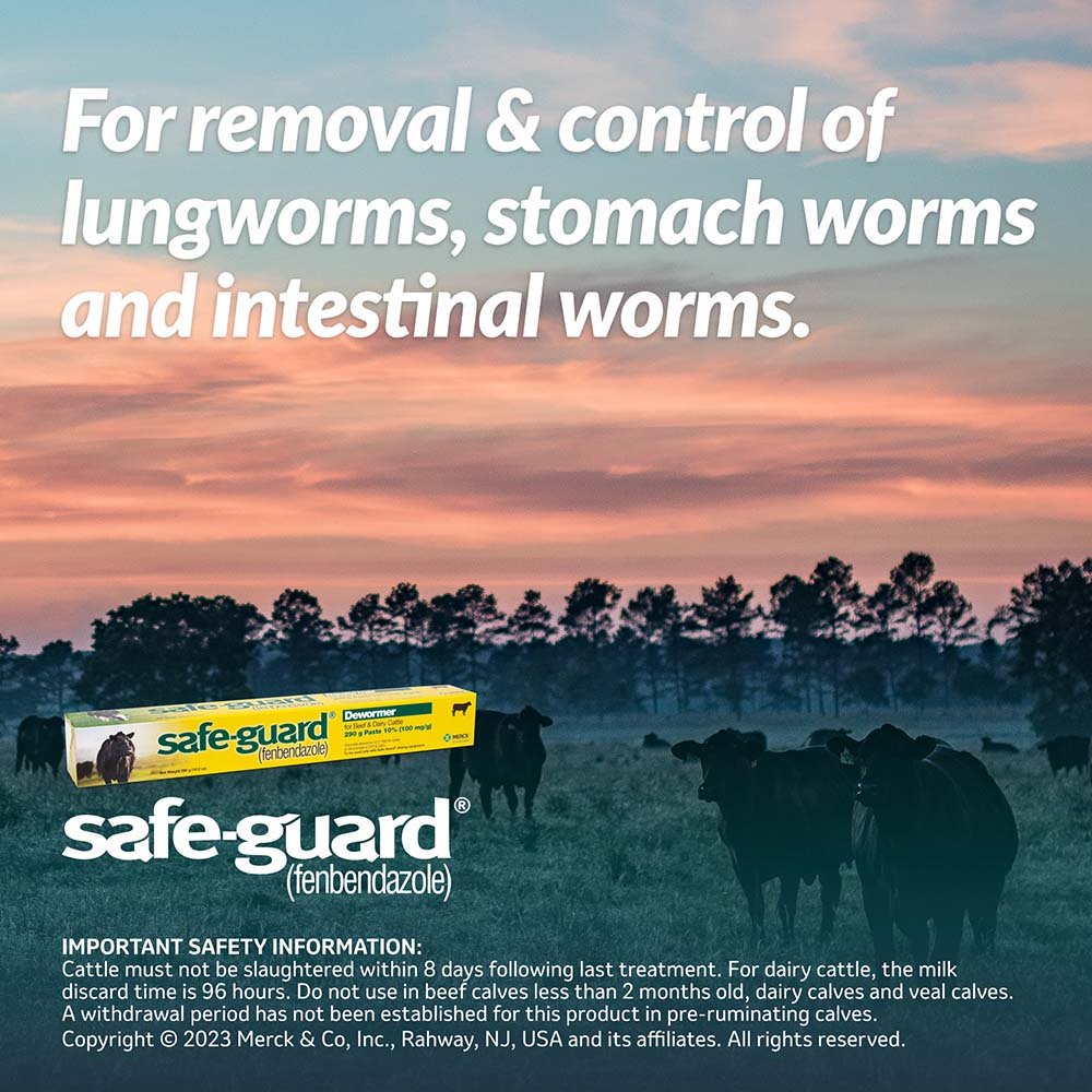 Safe-Guard 10% Fenbendazole Beef and Dairy Cattle Dewormer Paste 290g